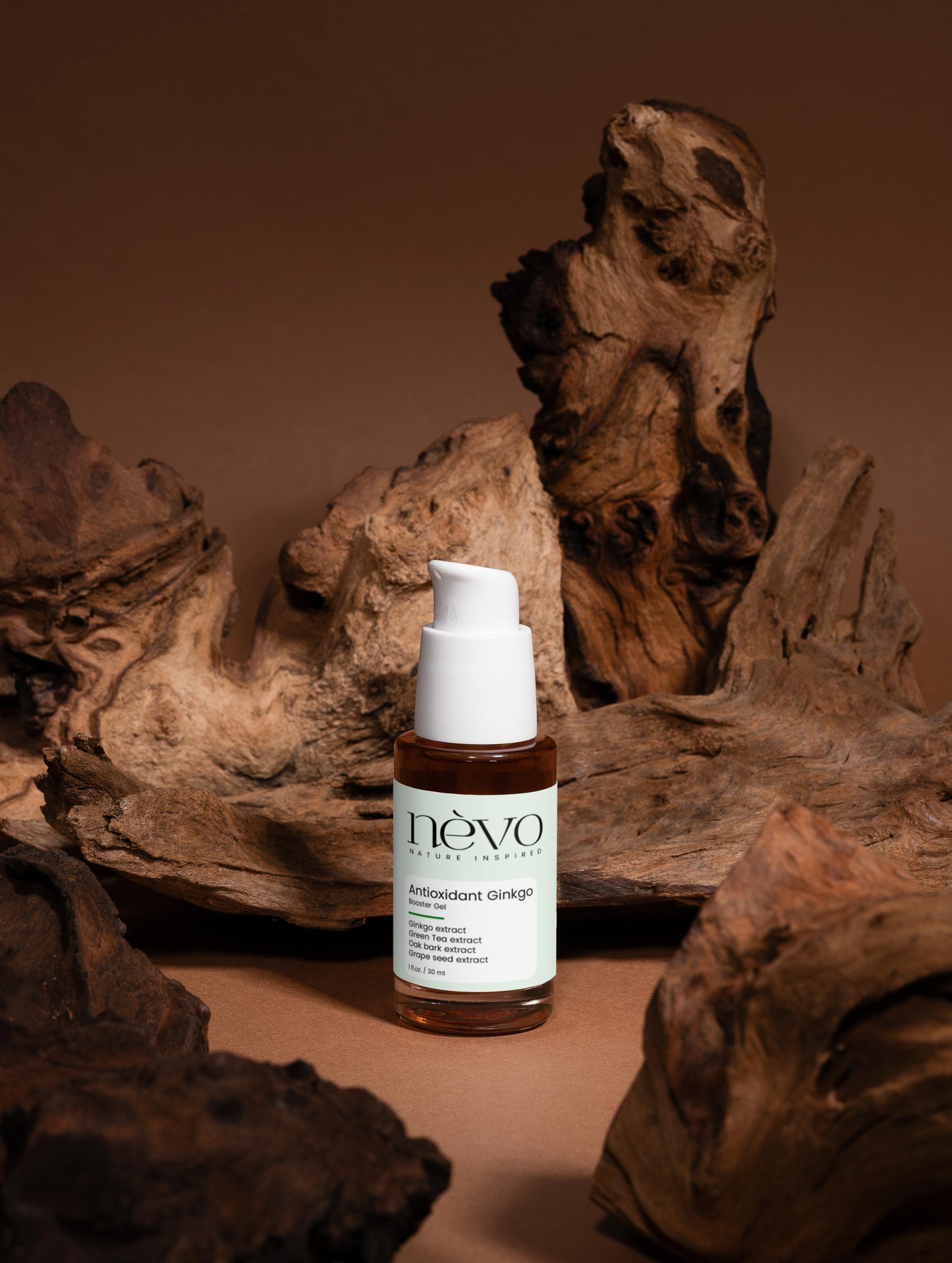 Antioxidant Ginkgo Booster Gel