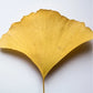 Antioxidant Ginkgo Booster Gel